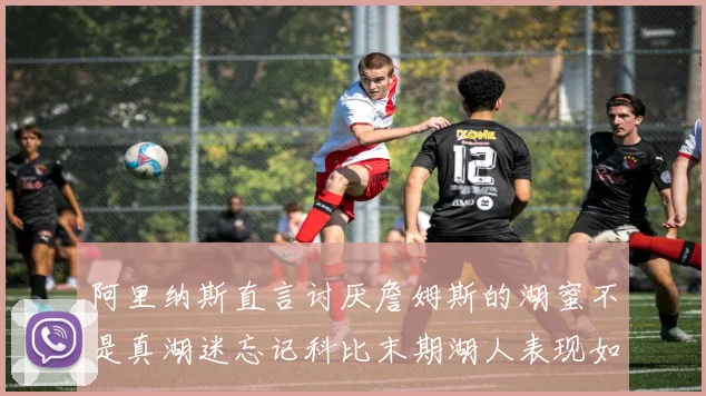 阿里纳斯直言讨厌詹姆斯的湖蜜不是真湖迷忘记科比末期湖人表现如何惨淡